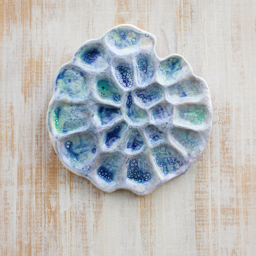 Catois_Portfolio_Ammonites_Bleu2-min