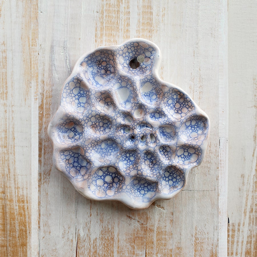 Catois_Portfolio_Ammonites_BulleBleuOrange-min